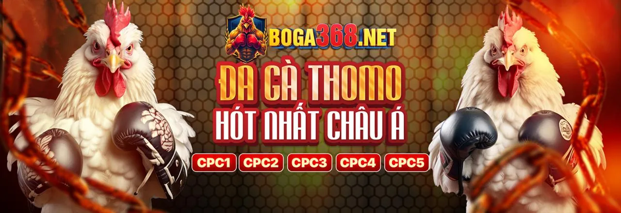 Hình ảnh chủ đạo về tuân thủ GDPR của da ga 79